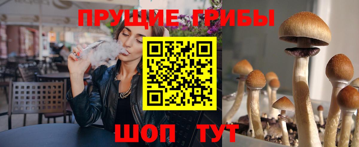 Псилоцибиновые грибы Magic Shrooms  Вход с VPN  Славгород 